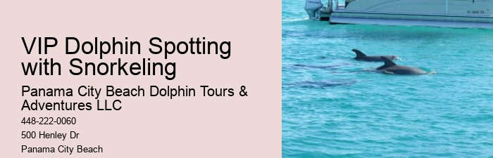 Dolphin Tales: Dolphin Mating Habits