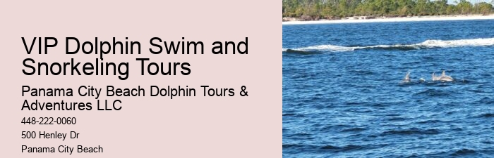 Split Small-group Dolphin And Snorkel Excursions